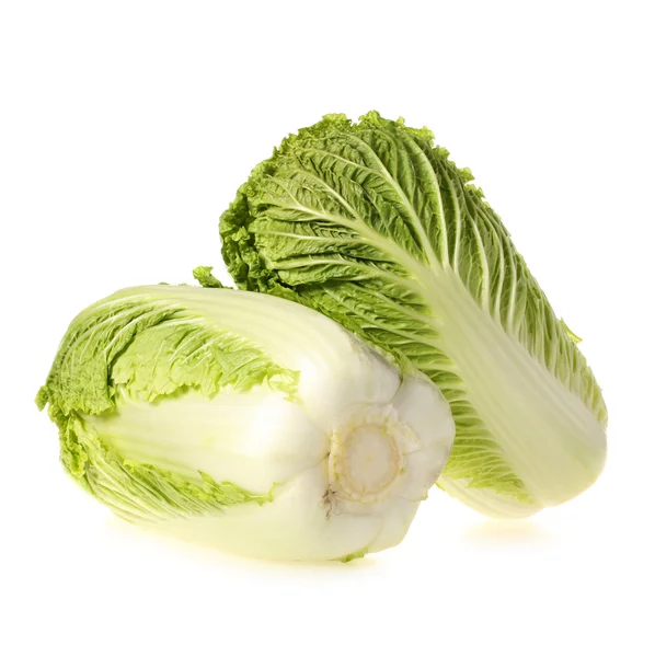 Chinese cabbage — Stock Photo, Image