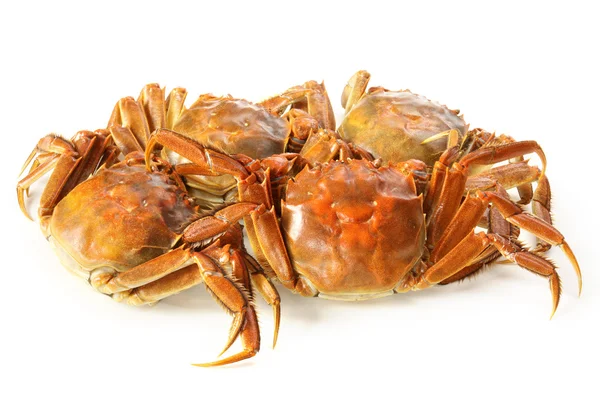 Gekookte krab — Stockfoto