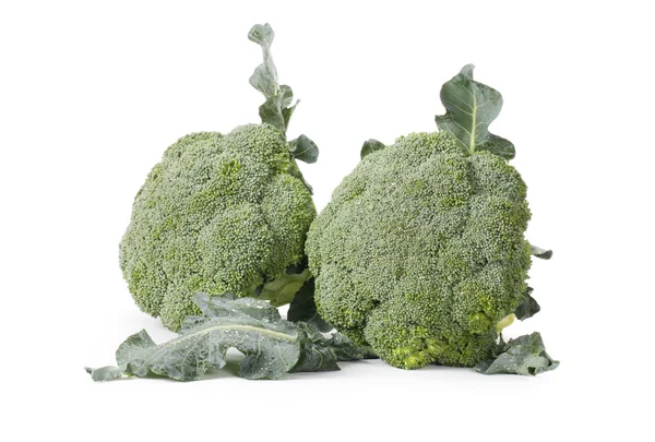 Broccoli kål isolerad på vit bakgrund — Stockfoto