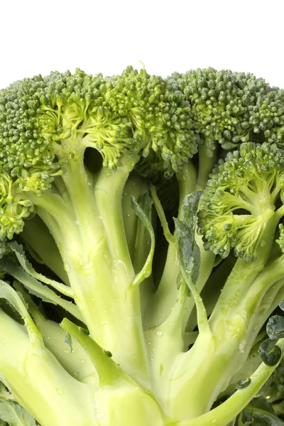 Broccoli sfondo — Foto Stock