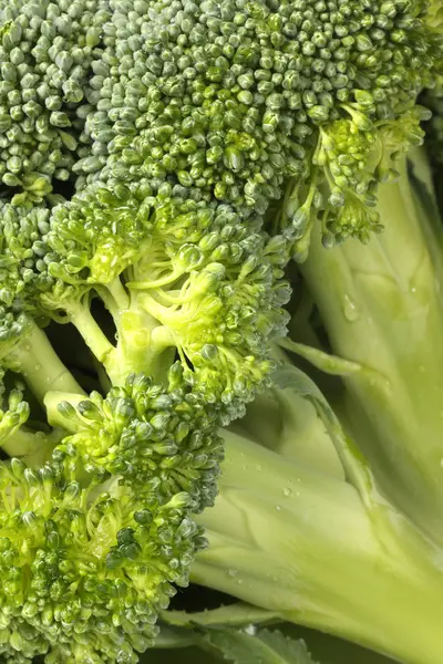 Broccoli achtergrond — Stockfoto