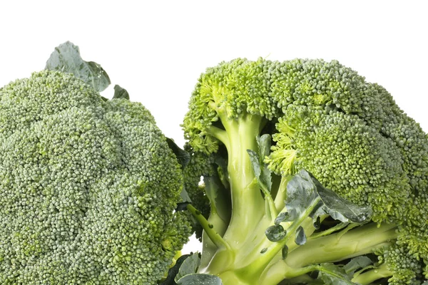 Broccoli kål isolerad på vit bakgrund — Stockfoto