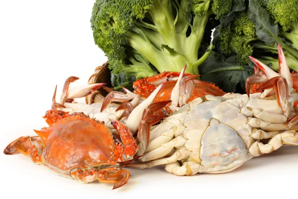 Steamed crabs — Stock Photo, Image