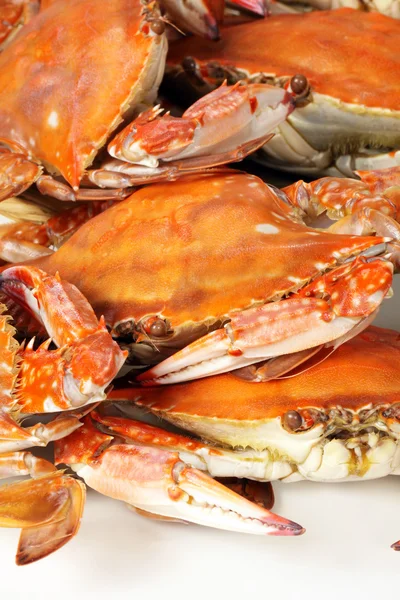 Steamed crabs — Stock Photo, Image