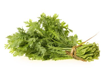 taç papatya beyaz zemin üzerine