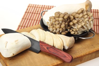 istiridye mantar kralı