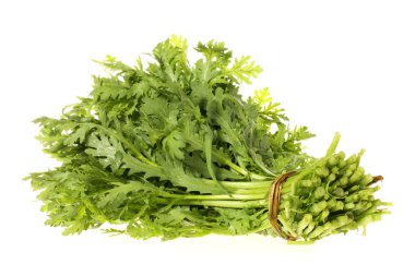 taç papatya beyaz zemin üzerine