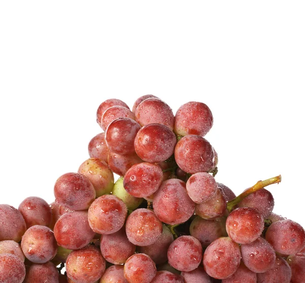 beyaz arkaplanda kırmızı üzüm