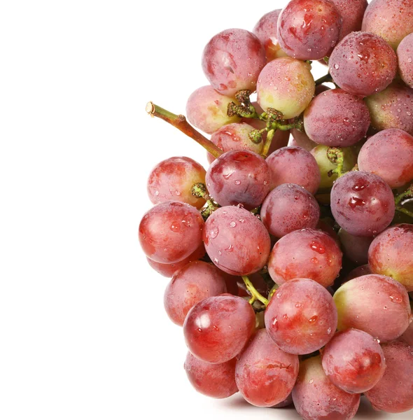 Червоний виноград на білому тлі — стокове фото
