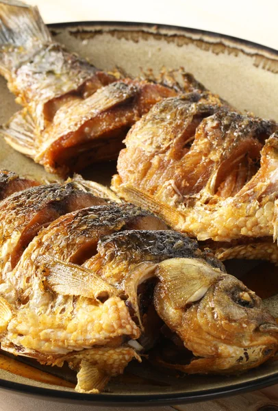 Fried fish crucian — Stock Photo, Image