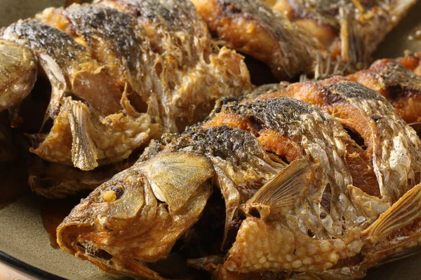 Cruciano de pescado frito — Foto de Stock