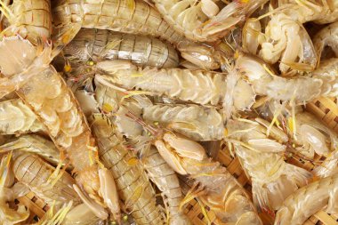 Peygamber devesi Karidesi