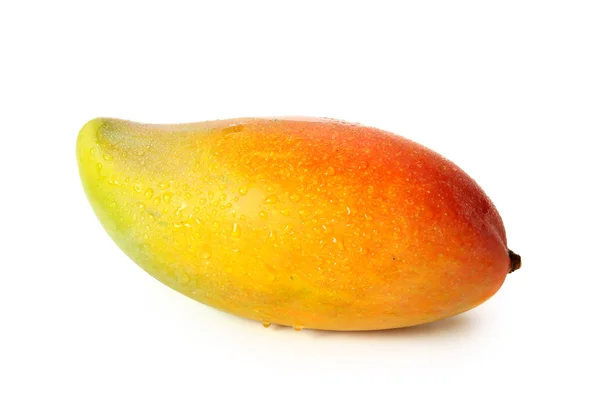 Mango. —  Fotos de Stock