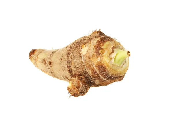 Ginger — Stock Photo, Image