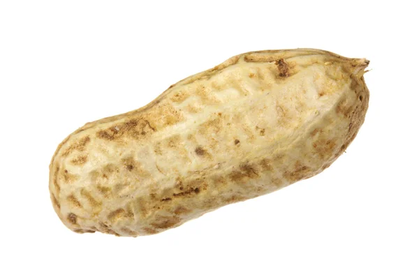 Peanut — Stock Photo, Image