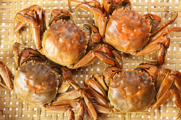 Steamed crabs — Stock Photo, Image