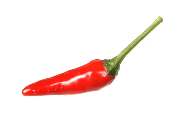 Pimienta roja picante — Foto de Stock