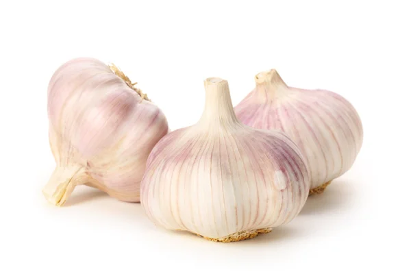 New garlic on white background — Stock Photo, Image