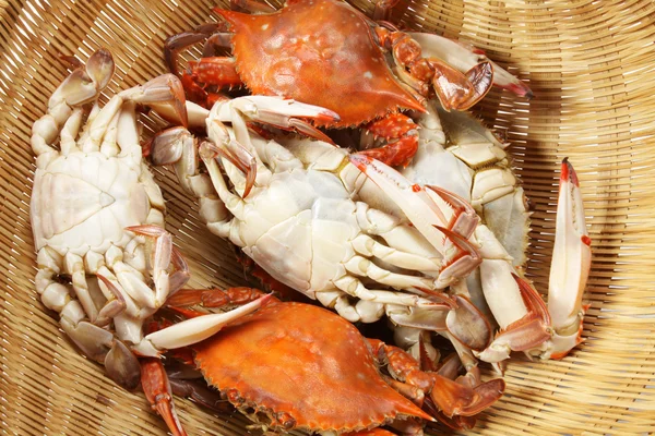 Steamed crabs — Stock Photo, Image