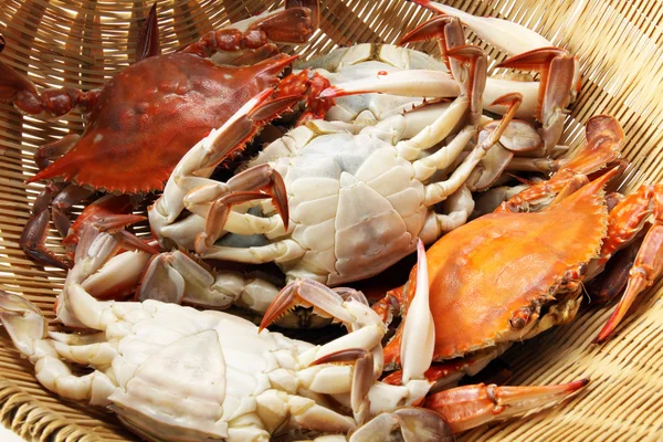 Steamed crabs — Stock Photo, Image