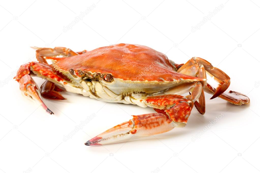 Steamed crabs