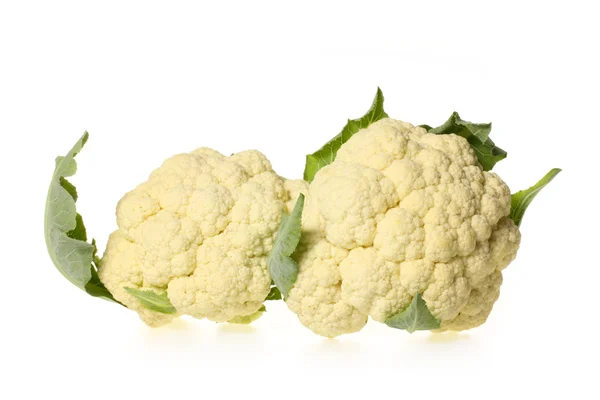 Fresh cauliflower — Stock Photo, Image