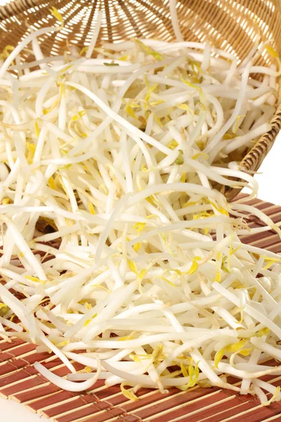 Mung bean sprouts — Stock Photo, Image