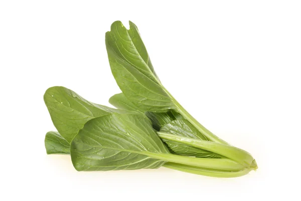 Cabbage — Stock Photo, Image