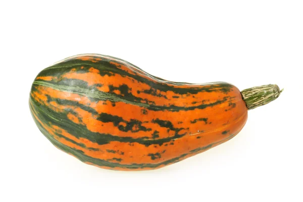 Zucca d'arancia — Foto Stock