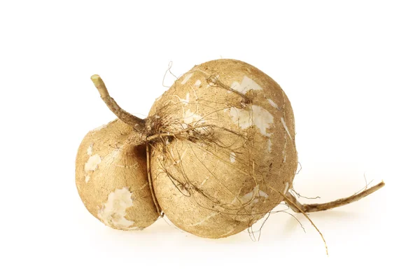 Jicama — Stockfoto