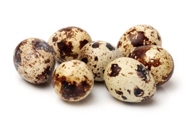 bıldırcın yumurtası