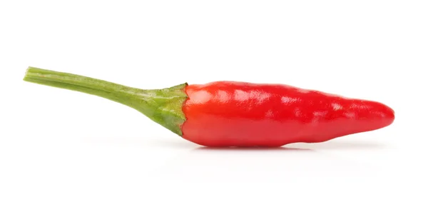 Vörös chili paprika — Stock Fotó