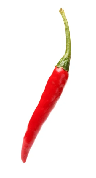 Rode chili peper — Stockfoto