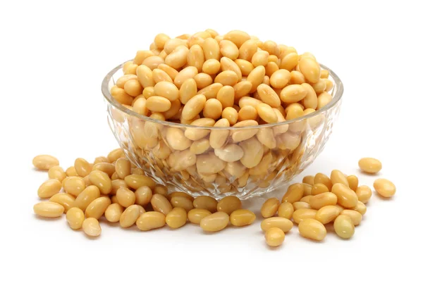 Soybean — Stock Photo, Image