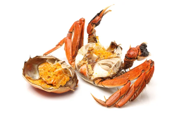 Cooked crab — Stock Photo, Image