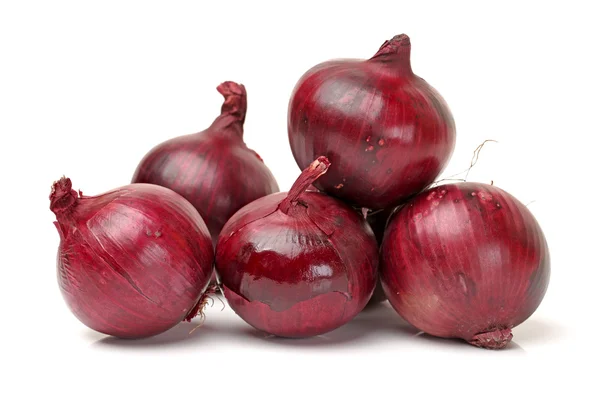 Rote Zwiebel — Stockfoto