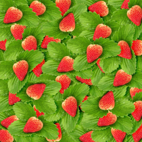 Textura perfecta de fresas jugosas — Foto de Stock