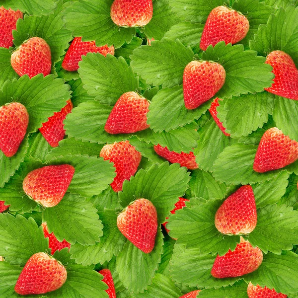 Textura perfecta de fresas jugosas — Foto de Stock