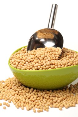 Altın soya