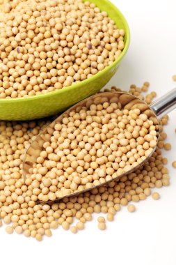 Altın soya