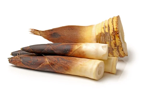 Brote de bambú —  Fotos de Stock