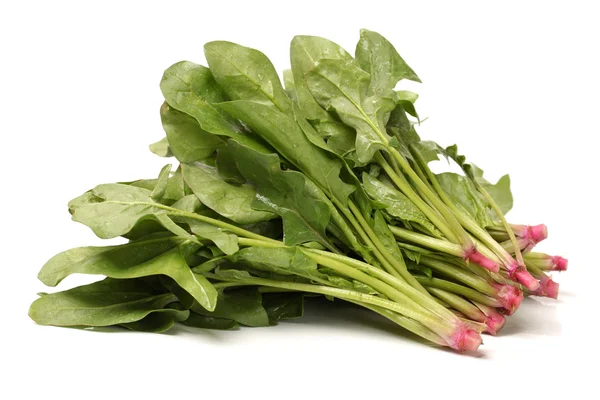 Spinach — Stock Photo, Image