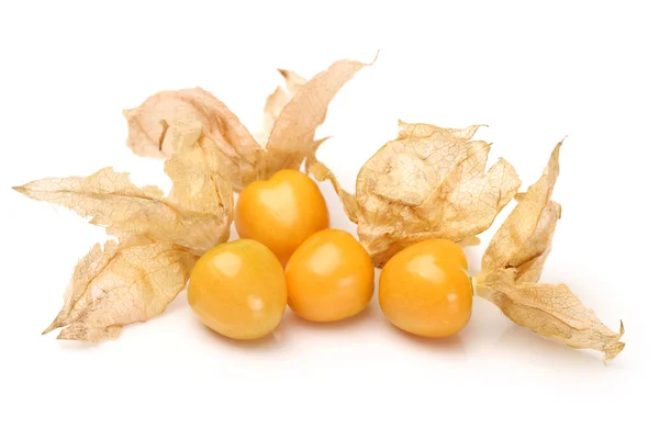 Physalis fruit — Stock Photo, Image