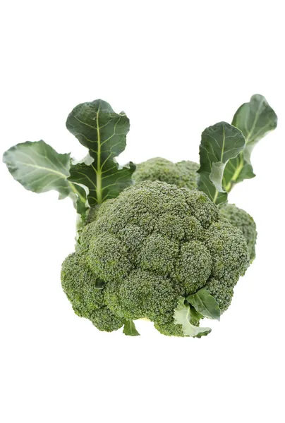 Mogen broccoli kål — Stockfoto