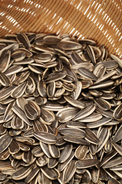 Sunflower seeds — Stock Photo, Image