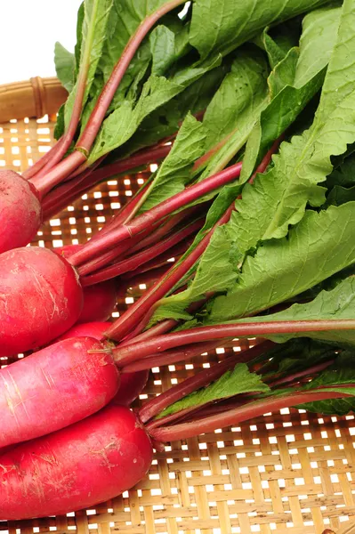 Radish — Stock Photo, Image