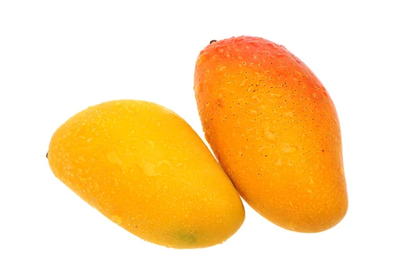 Mango — Stok fotoğraf