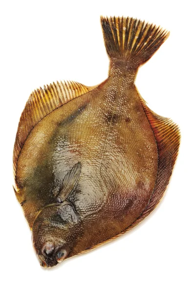 白い背景の上の鰈魚 — ストック写真