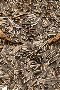 Ayçiçeği tohumları kapanıyor.