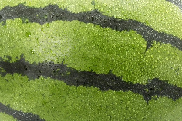 Close-up van de watermeloen huid — Stockfoto